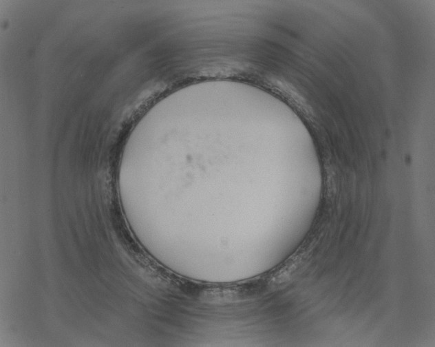 X0000078260354200612011700