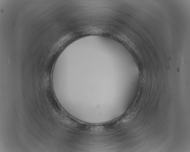 X0000078260355200612011700