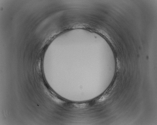 X0000078260357200612011700