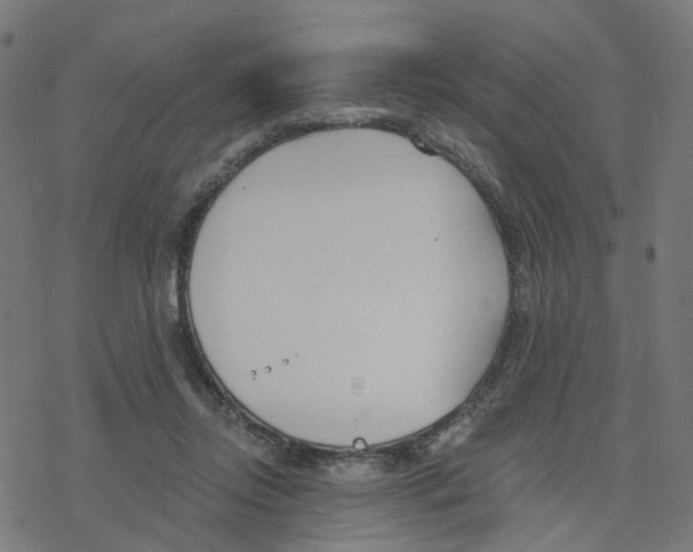 X0000078260358200612011700