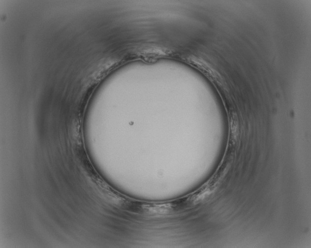 X0000078260359200612011700