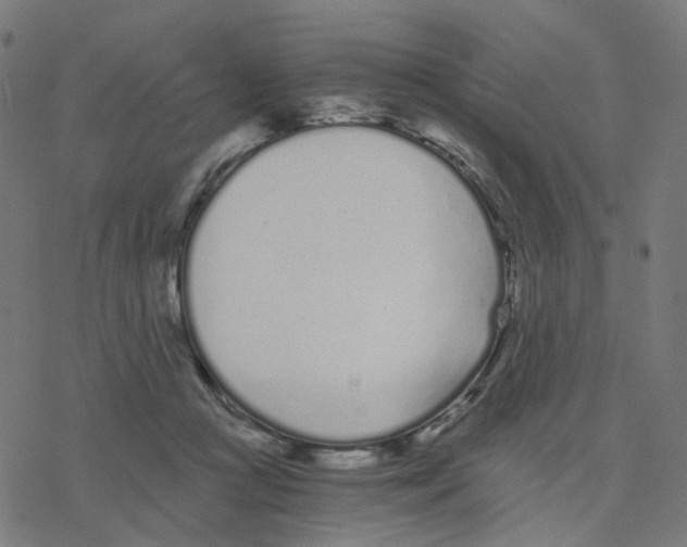 X0000078260361200612011700