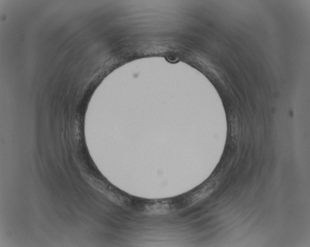 X0000078260362200612011700