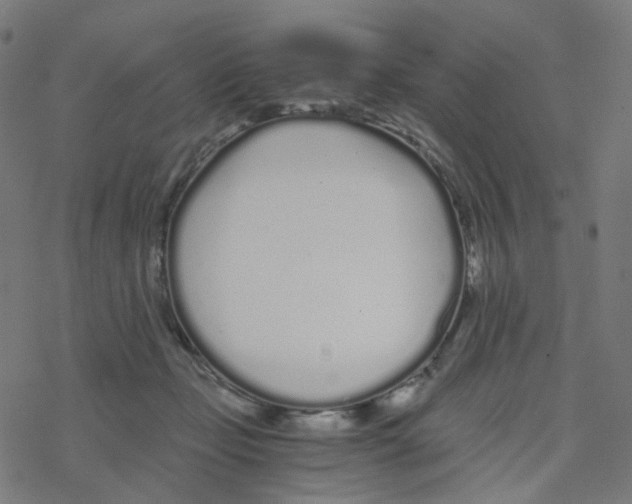 X0000078260365200612011700