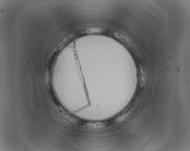 X0000078260367200612011700