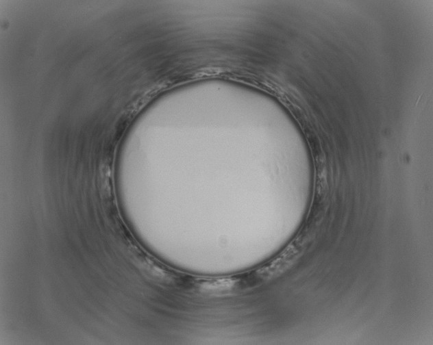 X0000078260369200612011700