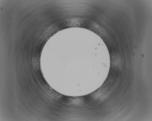 X0000078260370200612011700