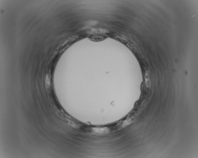 X0000078260371200612011700