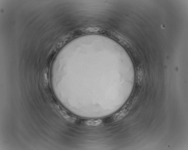 X0000078260373200612011700