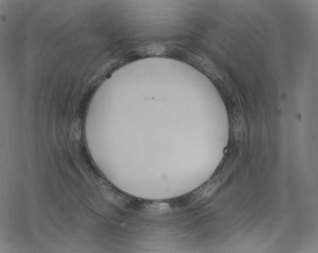 X0000078260374200612011700