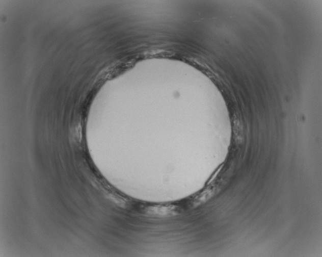 X0000078260375200612011700