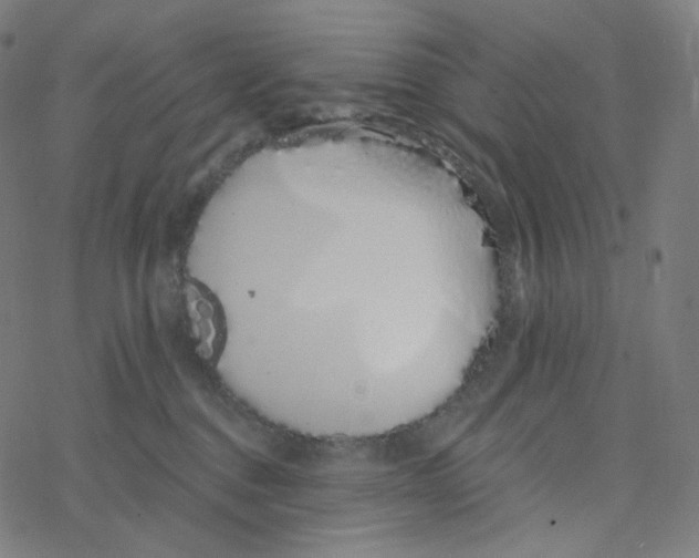 X0000078260376200612011700