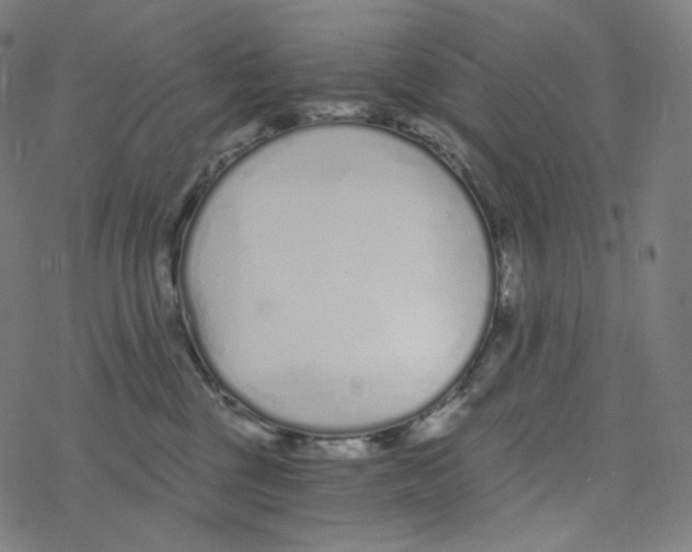 X0000078260377200612011700