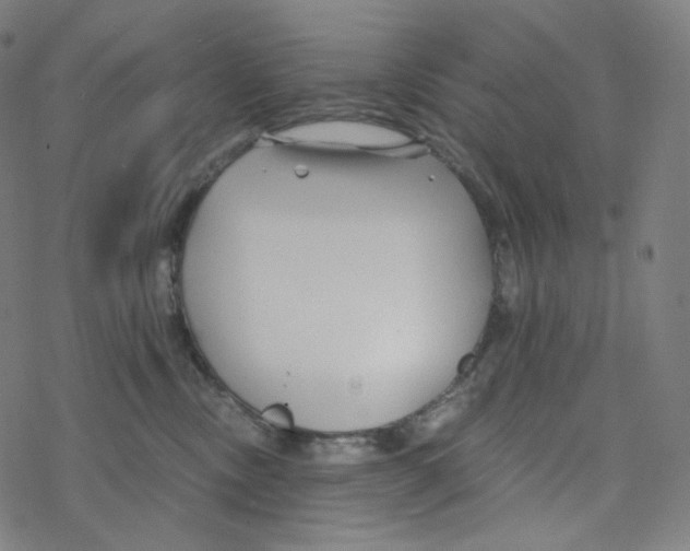 X0000078260378200612011700