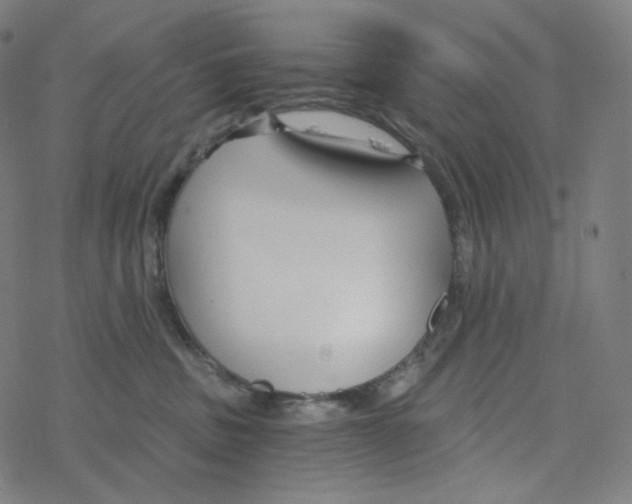 X0000078260379200612011700