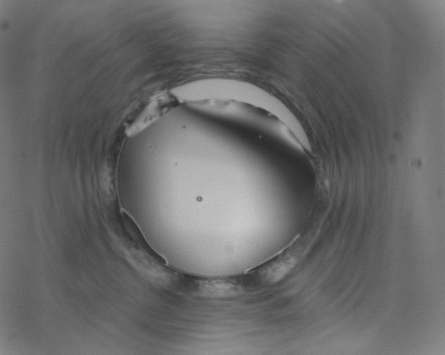 X0000078260380200612011700