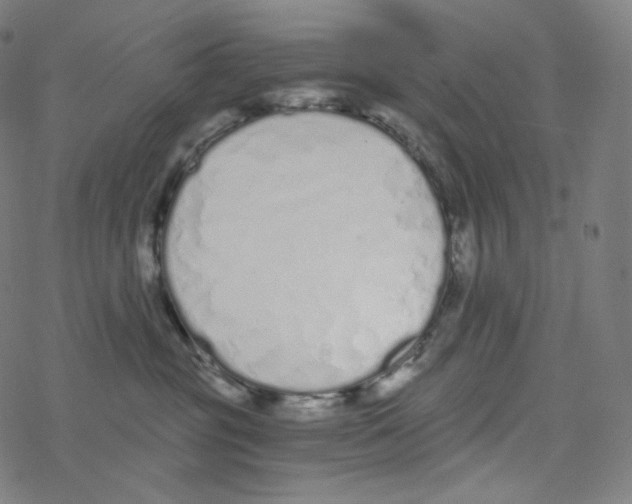 X0000078260381200612011700