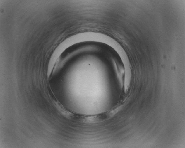 X0000078260382200612011700