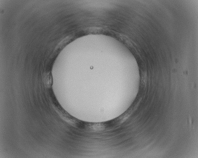 X0000078260383200612011700