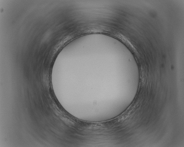 X0000078260386200612011700