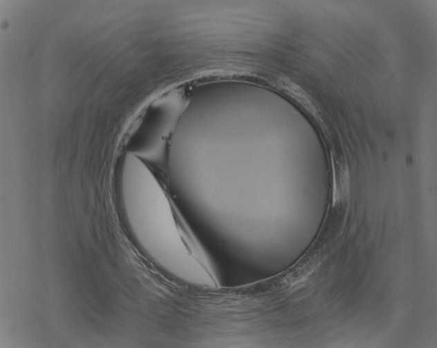 X0000078260387200612011700