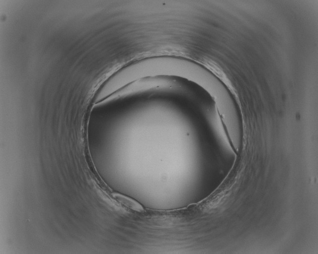 X0000078260389200612011700