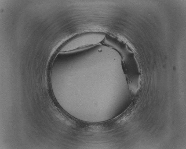 X0000078260391200612011700