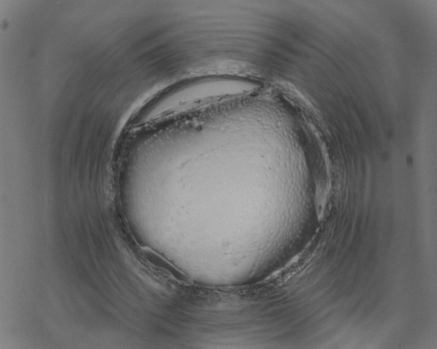 X0000078260392200612011700