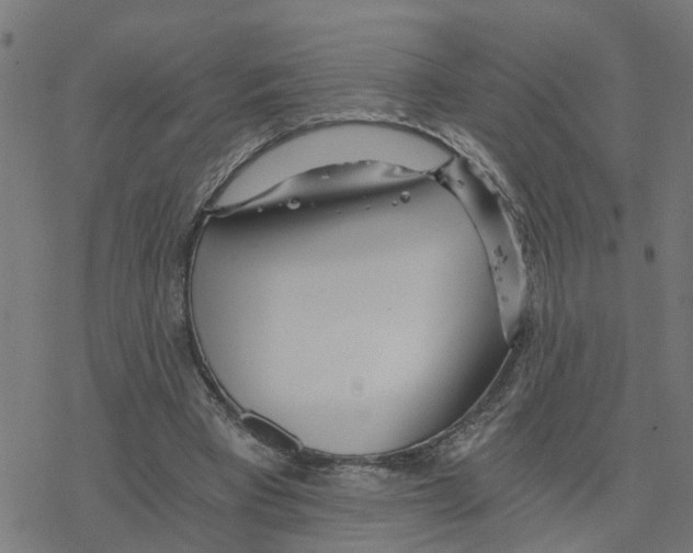 X0000078260393200612011659