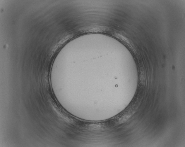 X0000078260394200612011659