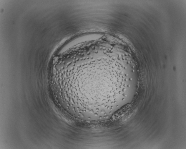 X0000078260395200612011659