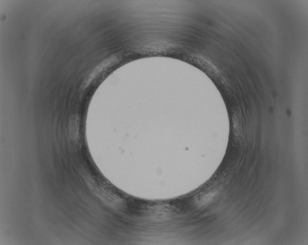 X0000078260396200612011659