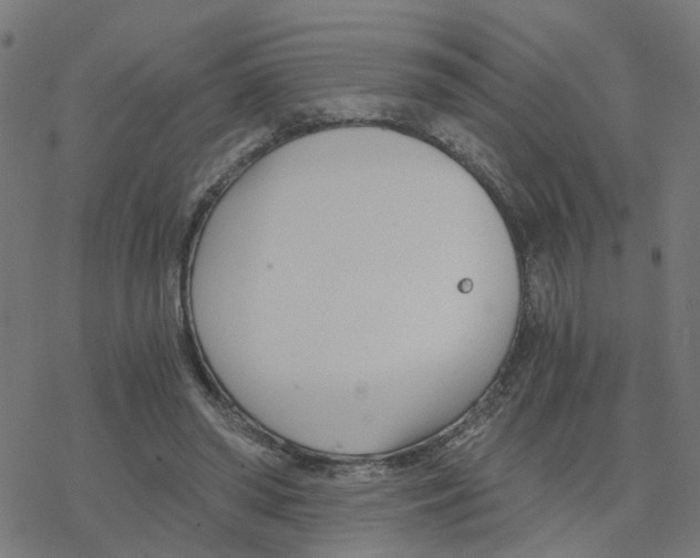 X0000078260398200612011659