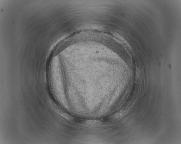 X0000078260399200612011659