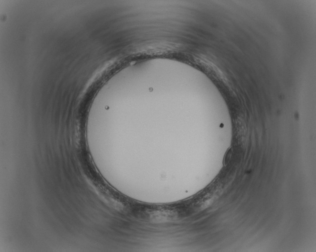 X0000078260400200612011659