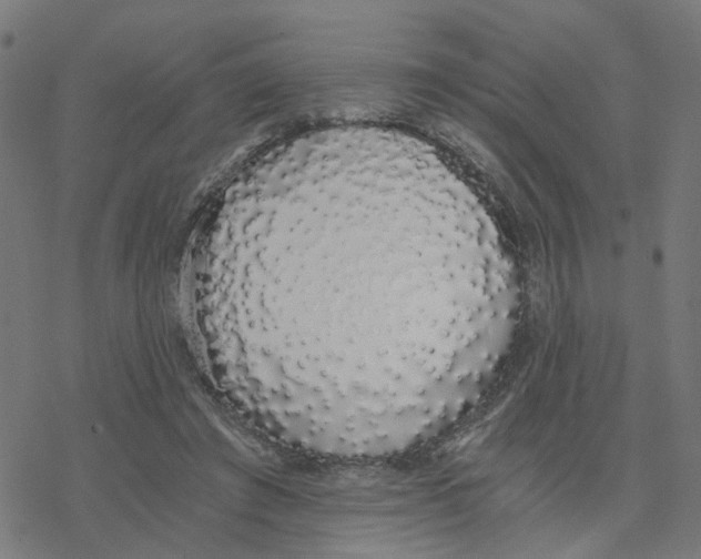 X0000078260401200612011659