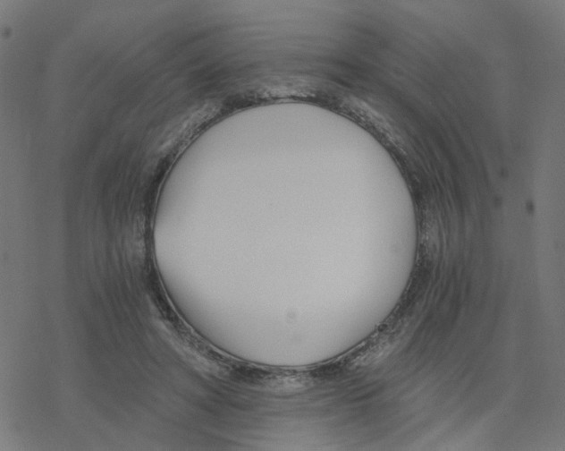 X0000078260402200612011659