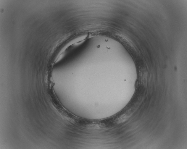 X0000078260404200612011659