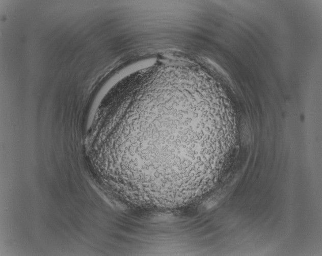 X0000078260405200612011659