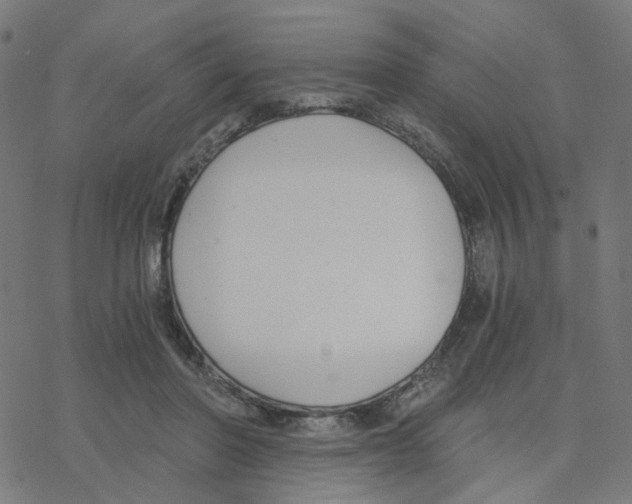 X0000078260406200612011659