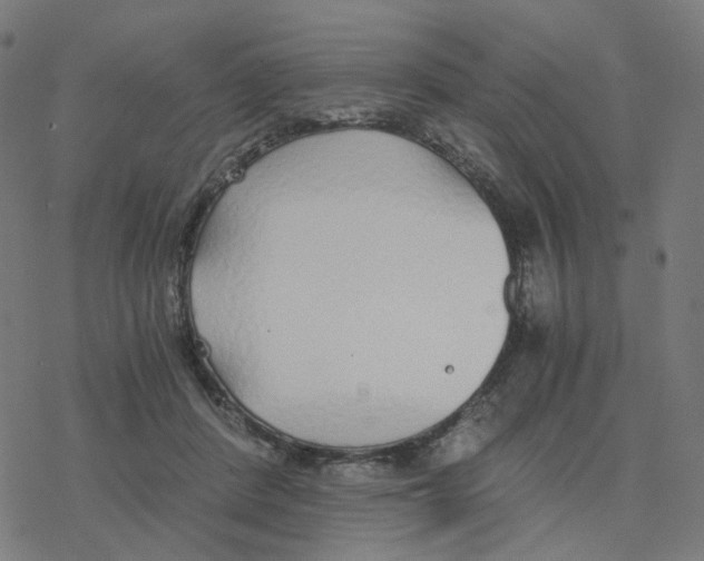 X0000078260408200612011659