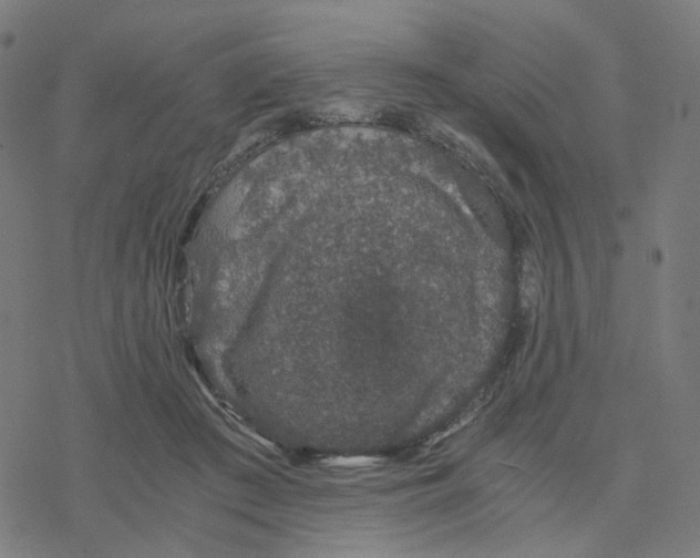 X0000078260409200612011659