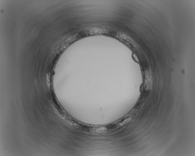 X0000078260410200612011659