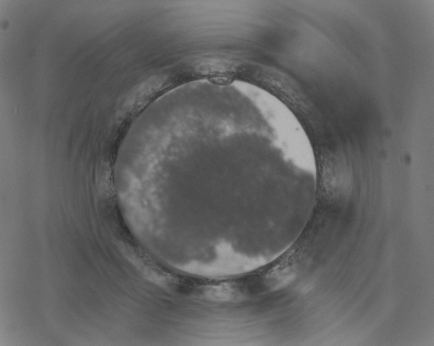 X0000078260411200612011659