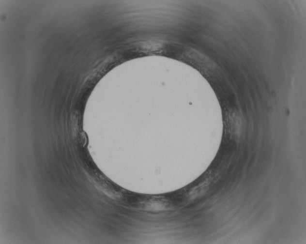 X0000078260412200612011659