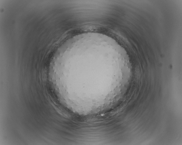 X0000078260413200612011659