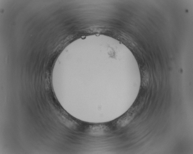 X0000078260414200612011659