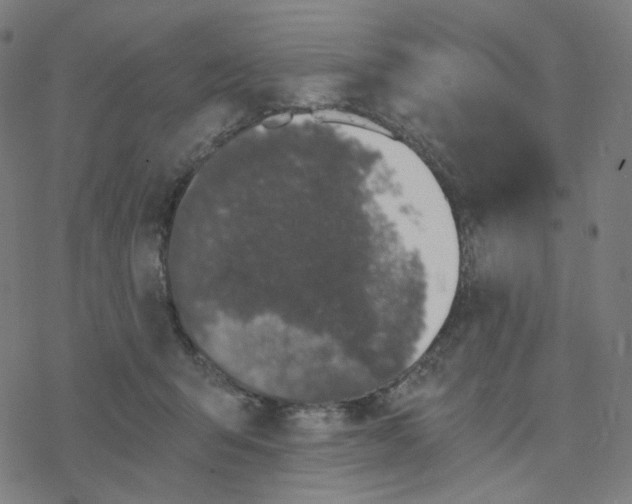 X0000078260415200612011659