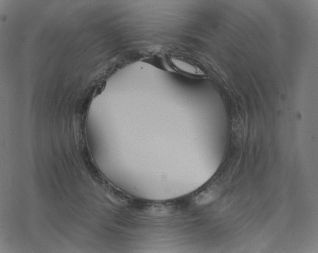 X0000078260416200612011659