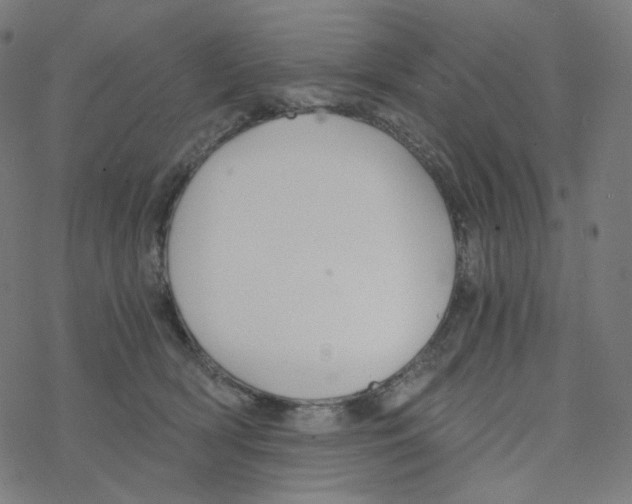 X0000078260418200612011659